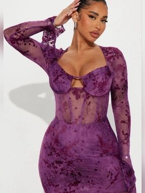 Fashion Nova Sheer Velvet Floral Corset Mini Dress